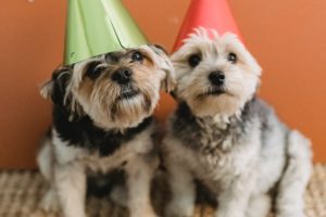 Celebre a Vida com Mensagens de Aniversário Repletas de Alegria